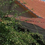 image10