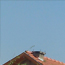 image10