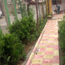 image10